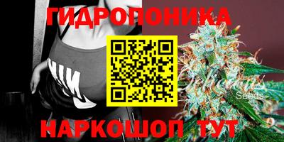 герыч Пенза