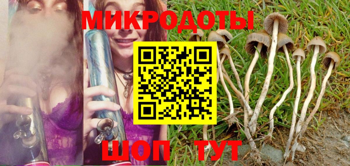 Россия  Псилоцибиновые грибы Magic Shrooms  Вход с VPN 